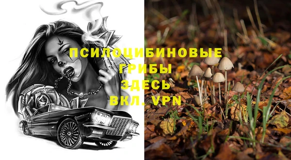 дурь Зеленокумск